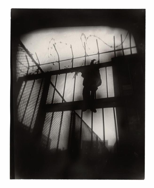 Fence Puppet