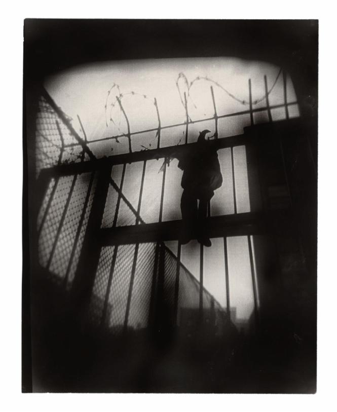 Fence Puppet