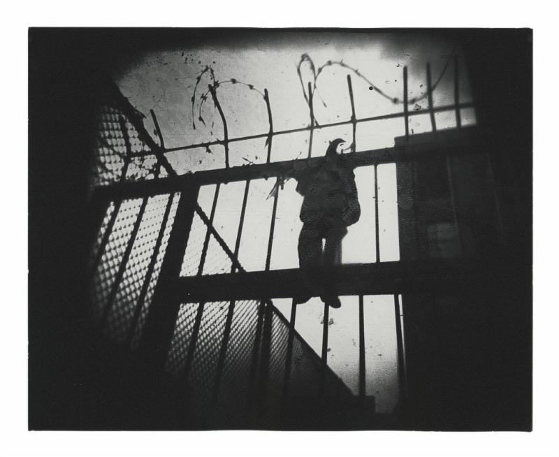 Fence Puppet